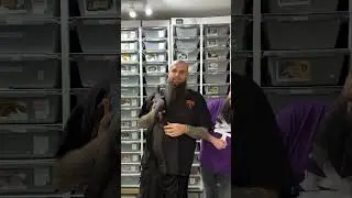 🐍🐍Приглашаем вас завтра в Варшаву на ZooEgzotyka 🐍🐍 #вирусноевидео #короткометражки