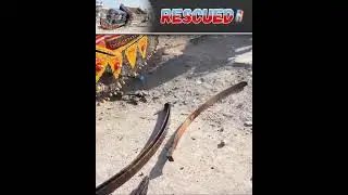 Unbelievable! Break Failure - Pakistani Truk Slides Into Giant Sewer Drain On Highway / Front Axle 