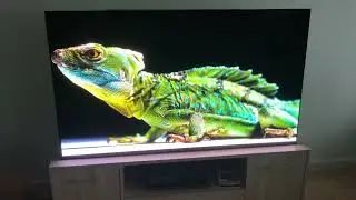 Sony A95K 65. YouTube videos