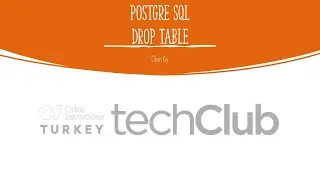 PostgreSQL (Pgsql) 21 - DROP TABLE