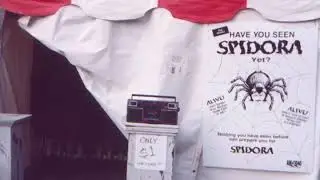 Spidora 2019