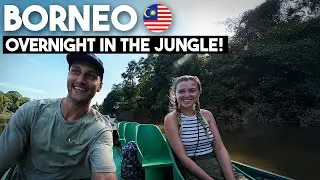 Spending the night in a tropical rainforest!