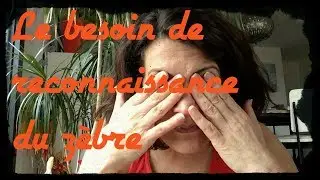 Le besoin de reconnaissance du zèbre