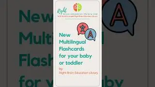 #shorts Right Brain Education: Multilingual flashcards for babies and toddlers