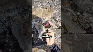 This Is How Photos Were Made Without Phones 🤯 (@ianruhter on IG)