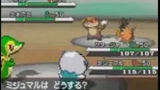 Black and White Pokemon Battles - PokeBeach.com