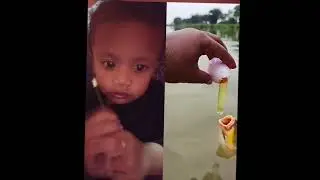 Cute baby fish #ayaanihaan #youtube #viral #cute #funny #comedy #video #trending #new #fyp 