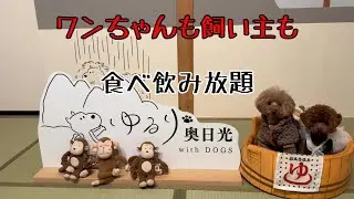 犬連れ奥日光観光　お宿編②