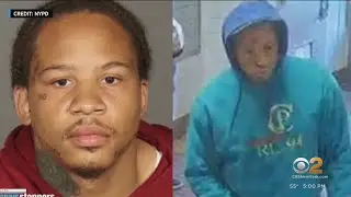 NYPD shares details of shooting spree suspect's recent alleged crimes