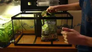 Tuto #1:  installation du substrat de l'aquarium de 54 L