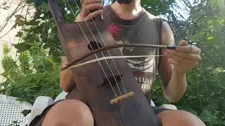 Self made bowed lyre/jouhikko/talharpa