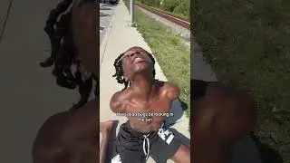 How dead bugs be looking in the sun #funny