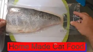 How To Cook Home Made Cat Food- Fish Chicken Eggs & Rice