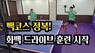 빽코스 정복! 화백 드라이브 훈련 시작 Conquering Back Course! Topspin Training Begins #topspin #tabletennis #탁구 