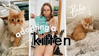 i adopted a 10 week old kitten and am very obsessed with him