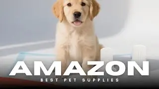 Potty Train Your Puppy FAST! 🚽 