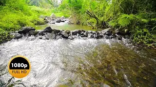 Deep Sleep Boost with River Sound | Calm Flow for Relaxation and Mental Wellness