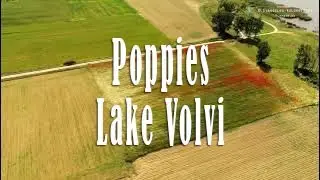 Poppies Lake Volvi  Greece