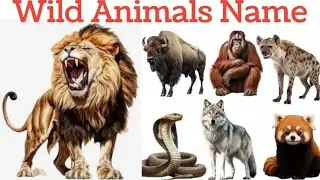 जंगली जानवर के नाम सीखे । 30 Wild Animals Name With Pictures And Sounds For Kids  #zoo
