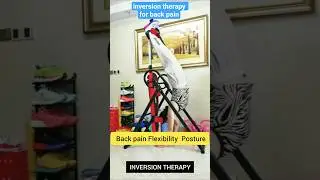 inversion therapy for back pain #InversionTherapy #BackPainRelief #qhealthtips #shots