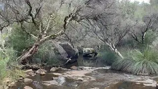 Roley Pools Reserve trail 1 hr hike really nice with winter water flowing undulating sloping 12/6/21
