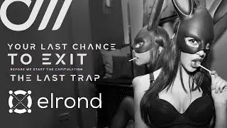 Elrond Price target prediction ABCDE, Elliott Wave, EGLD Analysis - Crypto Crash, The RESET