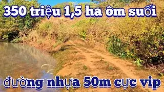 1,5 ha giáp lộ lớn đường vip đang trồng điều bán giá cực rẻ chỉ 350 triệu hết đất | đất vườn giá rẻ