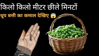 मटर छीलने का नया तरीका  amazing teacher tips 