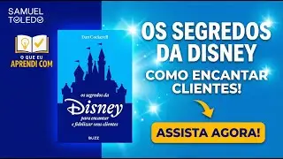O que eu aprendi com Os Segredos da Disney