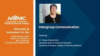 Diversity and Inclusion on Air: Intergroup Communication