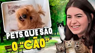 NADA É IMPOSSÍVEL PRA UM PET BR! | Sofia Santino é Coisa Nossa