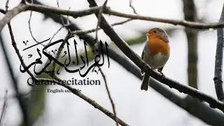 Quran recitation| Live stream | #livestream #egzonibrahimi #quranictranslation