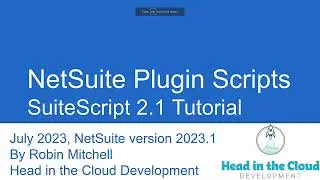NetSuite Custom Plugin Type Script Walkthrough