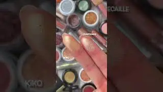 $13 DUPE FOR $54 CHANTECAILLE SINGLE EYESHADOW!!