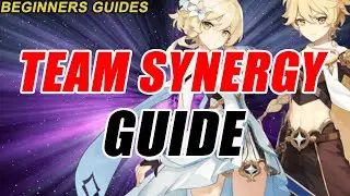 Team Synergy Guide | Genshin Impact | Beginners Guides