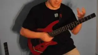 Dave Eichenberger: Steinberger ZT3 & TransTrem 3