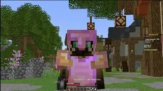 In depth setup guide! | Hypixel Skyblock Remake