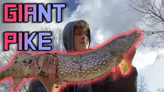 How to catch BIG PIKE with live bait in the Grand River