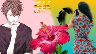 🌴New Santali status video 💕 SUREM TAHEN RESE... 🌴4k whattaap lyrics status video 🪶M.YT CHANNEL, ❣️