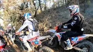 bassella 2023 full domingo