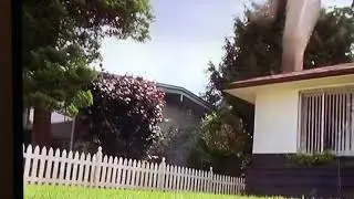 See spot run 2 guys