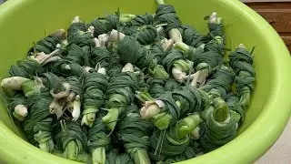 Harvesting lemon grass/ Dlob tauj qab 10-3-2025