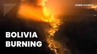 Why does Bolivia have so many Forest Fires?
