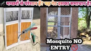 Aluminium Gate with Safety Grill & Mosquito Jali | New Design 2026 #AluminiumGate #SafetyGrill 