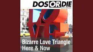Bizarre Love Triangle (Rocco & Bass-T Now or Never Remix Cut)