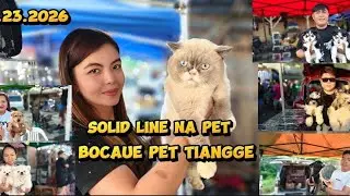 Ganap sa bocaue pet tiangge maraming mga pure line pet na pwde nyong alagaan