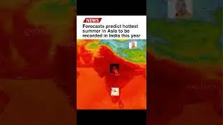 Summer Meme
