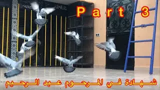 كلمة « عبد العزيز « صديق المرحوم “عبد الرحيم البيضة” + من ضمن أسباب رجوع #حمام_الفعل لمستوى ضعيف..