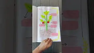 Easy DIY Kids magazine #diy #ideas #shorts #school project