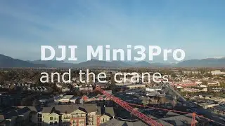 Mini3pro Vedder Crossing, BC, Cranes